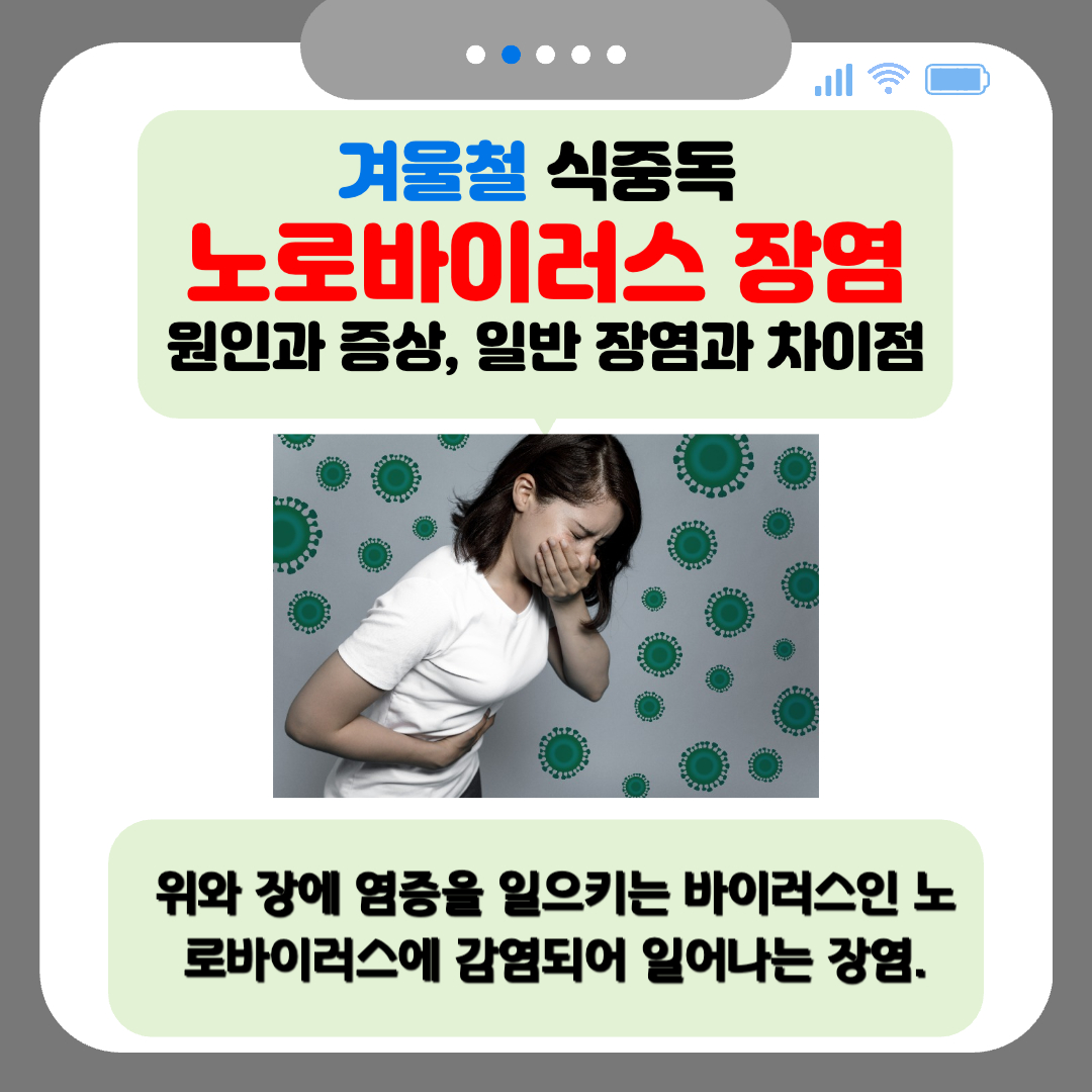 겨울철 식중독 노로바이러스 장염 : 원인과 증상, 일반 장염과 차이점