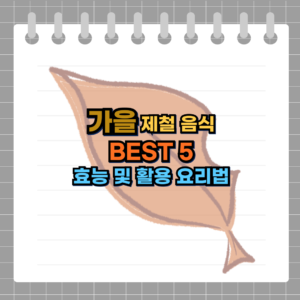 가을 제철 음식 BEST 5 효능 및 활용 요리